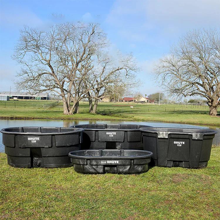 Dụng cụ vệ sinh Sao Việt