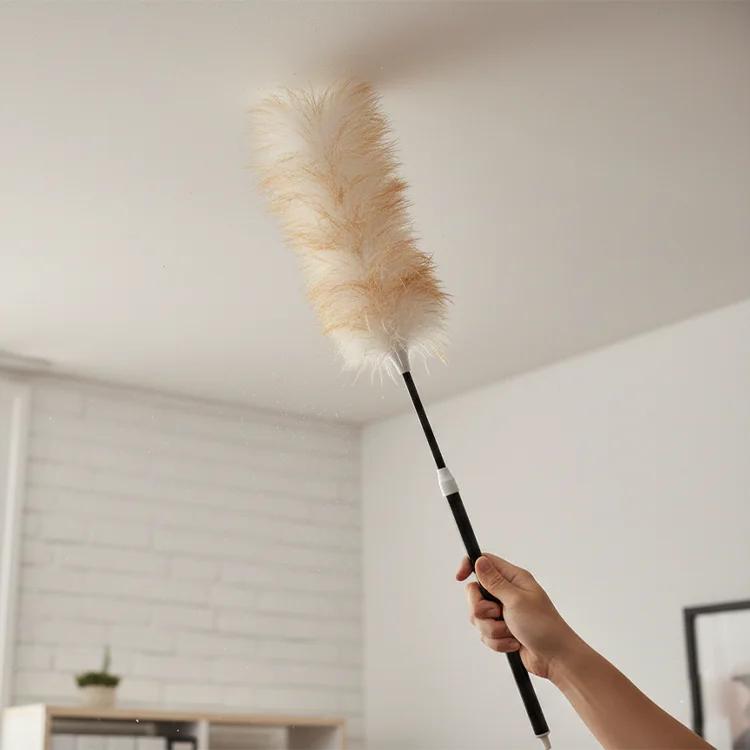 Dụng cụ vệ sinh Sao Việt