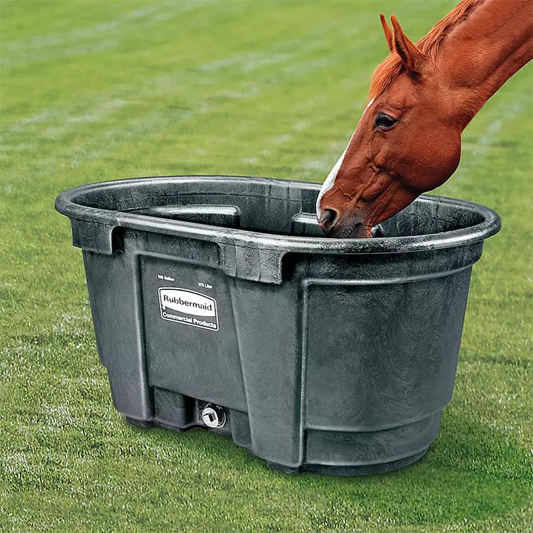 Dụng cụ vệ sinh Sao Việt